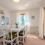 Pet Friendly In *