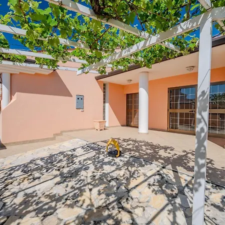 Pet Friendly In Buje