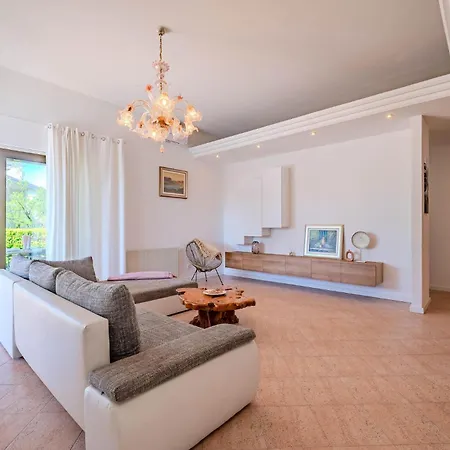 Pet Friendly In * Buje