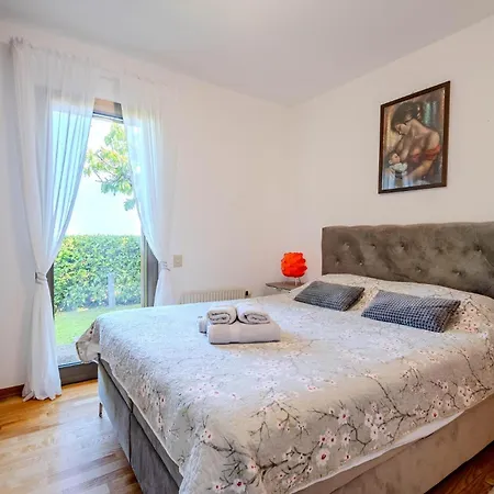 Pet Friendly In * Buje